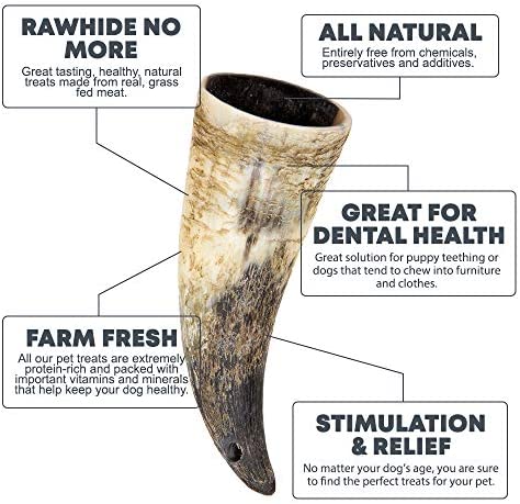 Full-Size Water Buffalo Horns for Dogs - All-Natural Long Lasting Dog Chews from Grass Fed Cattle, Tasty Treat for Oral Hygiene Rawhide Alternative - Small, Medium & Large Breed Dogs - 3 Pack (Small)