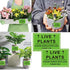 Green Live Plants Stickers for Shipping 2x3 inch Please Handle with Love Stickers Fragile Shipping Labels for Warehouse Pallet 250 pcs Live Plants Stickers per roll