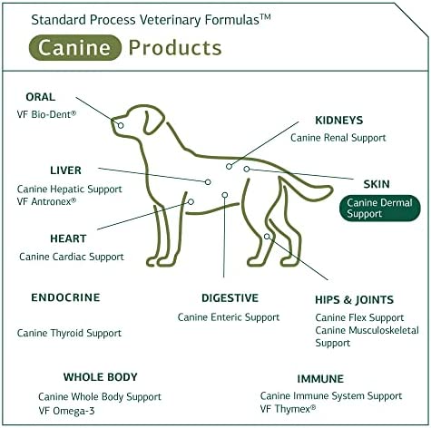 Standard Process - Canine Dermal Support - Healthy Skin for Dogs - 30 Grams