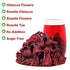 Plant Gift Roselle Hibiscus, Hibiscus Tea Organic, Hibiscus Flowers Roselle Tea, Hibiscus Tea, Dried Hibiscus Chinese Health 50G/1.76oz