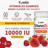Vitamin D3 10000 IU Maximum Strength Gummies for Adults by YumVs | Vitamin D 5000 iu per Gummy | 250 mcg – Vitamin D per Serving | Kosher Vegetarian Chewables Berry Flavor - 60 Count
