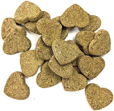 Oxbow Organic Rewards Barley and Hay Biscuit Treats for Rabbits, Guinea Pigs, Chinchillas, and Small Pets