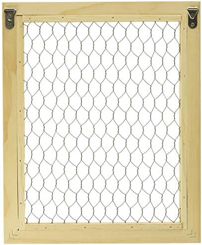Darice Chicken Wire Frame (1pc) – Unfinished Wood Frame Ready to Decorate and Embellish – Add Photos, Banners, Jewelry, Prints and More – Easy to Hang – Measures 9.5”x11.5” Outside, 8"x 10" Interior