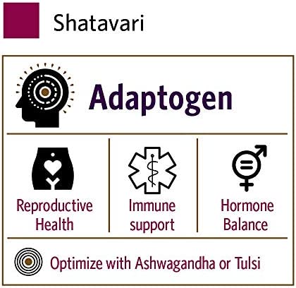 Organic India Shatavari Herbal Supplement - Supports Hormonal Balance, Immune and Inflammatory Response, Vegan, Gluten-Free, USDA Organic, Supports Reproductive Health - 90 Capsules