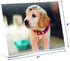 Photo Booth Frames - 7x5 Inch Clear Acrylic Display, Slanted Back 7x5 Horizontal Picture or Display Plastic Sign Holder with Inserts - 12 Count