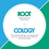 Rootcology Myo-Inositol Powder - Relaxation and Sleep Support with 700mg Pure Inositol - Dietary Supplement to Support Brain Wellness + Female Hormonal Health by Izabella Wentz (100g /138 Servings)