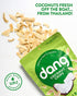 Dang Toasted Coconut Chips | Original | 1 Pack | Vegan, Gluten Free, Non GMO, Healthy Snacks Made with Whole Foods | 3.17 Oz Resealable Bag