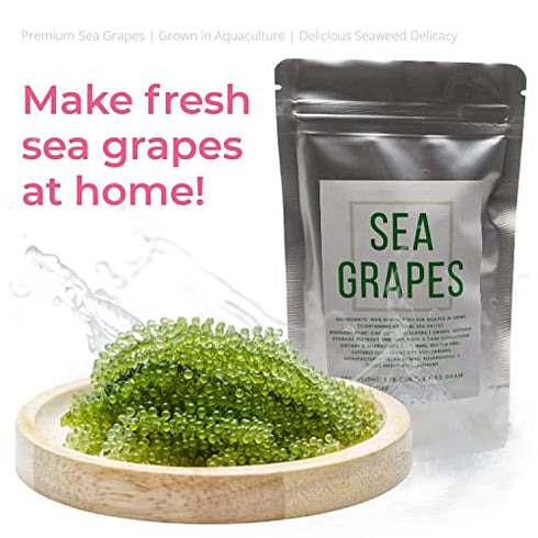 Umibudo Sea Grapes - Delicious Green Caviar Seaweed - Dehydrated Seagrapes in Brine, Net weight: 1.76oz/50g - makes 1/2 pound once soaked