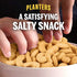 Planters Salted Cashew Halves & Pieces (14 oz Canister)