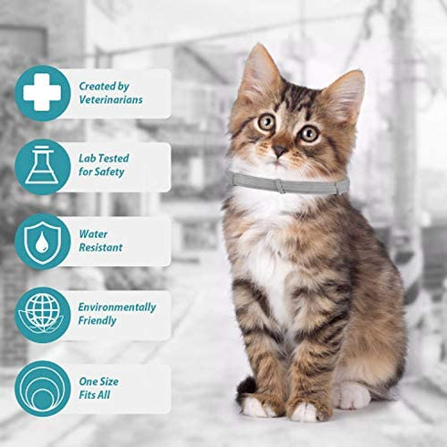 Flea and Tick Collar for Cats,8 Month Flea and Tick Treatment and Prevention for All Sizs Cats,Adjustable and Waterproof,100% Natural Ingredients,Include Tick Removal Tools,2 Pack