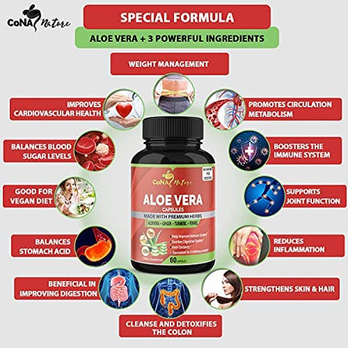 Organic Aloe Vera Extract Capsules Equivalent to 80100MG & Turmeric, Ginger, Fennel| Support Immune, Digestion| Natural Anti-Inflammatory, Antioxidants| Multi Nutrients, Vitamins, Minerals Supplement