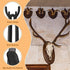 Moxweyeni European Mount Skull Hanger Deer Hooks Antler Style Mounts Hanging and Mounting Easy Installation for Living Room Bedroom Home Decor Indoor Outdoor Use (4 Pieces) (4), Black