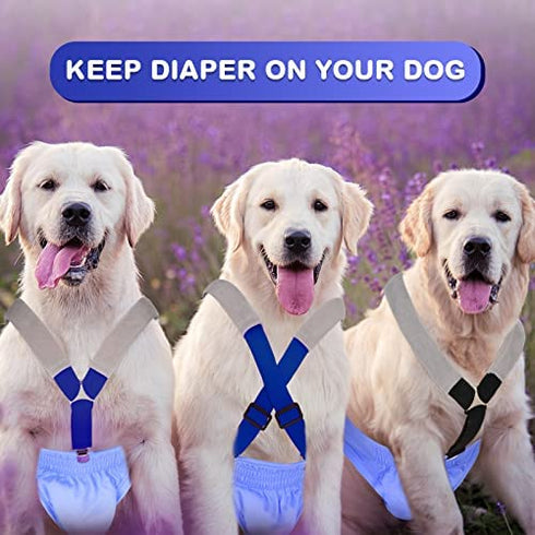 2 Pieces Dog Diaper Suspenders Belly Bands Canine Harness Keep Diaper on Your Dog for Small Medium and Large Dogs (Black, Blue,Medium)