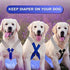 2 Pieces Dog Diaper Suspenders Belly Bands Canine Harness Keep Diaper on Your Dog for Small Medium and Large Dogs (Black, Blue,Medium)