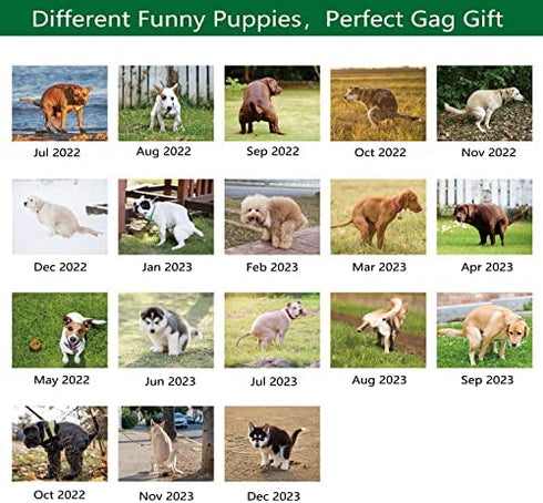 2023 Wall Calendar - Dog Pooping Calendar 2023-2024 from January 2023 - June 2024, Funny Dog Calendar Gag Gifts,11" x 17" (Open), 11" x 8.5"(Closed), Perfect 2023-2023 Calendar for White Elephant Gifts Funny