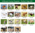 2023 Wall Calendar - Dog Pooping Calendar 2023-2024 from January 2023 - June 2024, Funny Dog Calendar Gag Gifts,11" x 17" (Open), 11" x 8.5"(Closed), Perfect 2023-2023 Calendar for White Elephant Gifts Funny