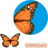 AQUEENLY Monarch Butterfly Decorations, 4.72'' Orange Premium Artificial Monarch Butterfly to Decorate for Craft, Home, Wall, Wedding, Party (12 Pcs)