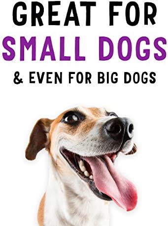Beggin Littles Bacon Flavored 6OZ Dog Treat (Pack of 2)