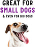 Beggin Littles Bacon Flavored 6OZ Dog Treat (Pack of 2)