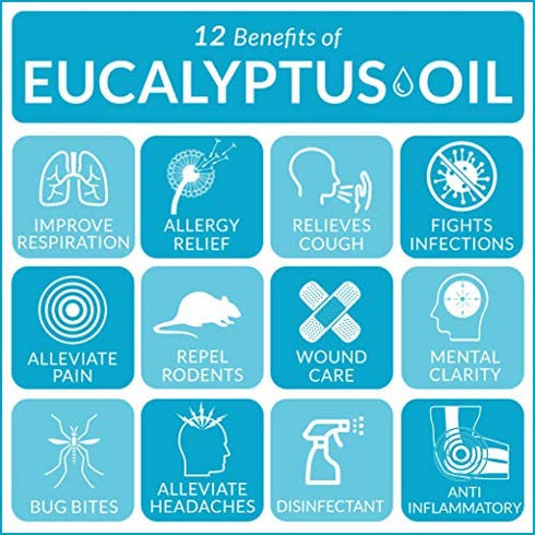 artnaturals 100% Pure Eucalyptus Essential Oil - (.5 Fl Oz / 15ml) - Undiluted Therapeutic Grade Fragrance - Soothe Calm and Humidify - for Aromatherapy Diffuser, Steam Room, Suana, HUmidifier