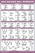2 Pack: Half Balance Ball Workout Poster + Yoga Ball Exercise Chart - Set of 2 Workout Posters