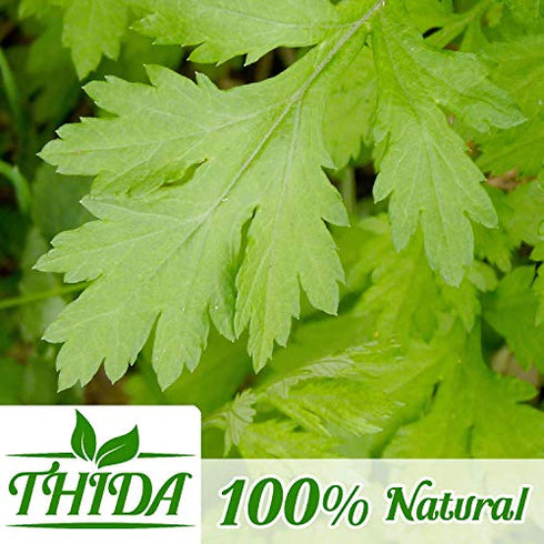 Mugwort Tea 15 Bags | Asian Herb Tea Mugwort Leaves Supply From Thailand