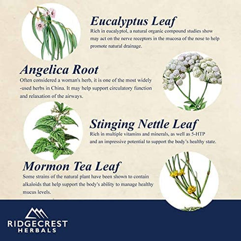 RidgeCrest Herbals SinusClear, Complete Sinus Support, 60 Vegetarian Capsules
