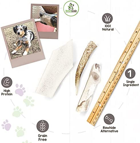 Nature Gnaws Elk Antlers for Large Dogs - Premium Natural USA Antler - Long Lasting Dog Bones for Aggressive Chewers - Mix of Split and Whole - 5-8 Inch