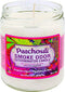 Smoke Odor Exterminator Patchouli 13 Oz Jar Candle, 13 Ounce