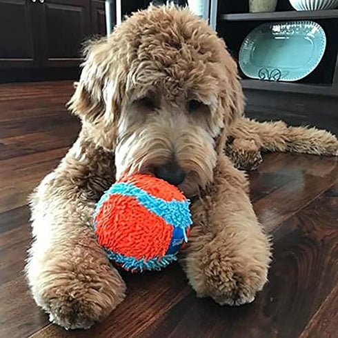 Chuckit! Indoor Ball Dog Toy, Soft Dog Toy (4.75 Inch)