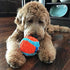 Chuckit! Indoor Ball Dog Toy, Soft Dog Toy (4.75 Inch)