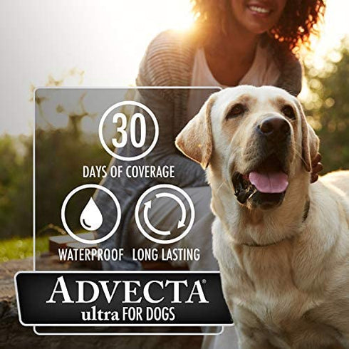 Advecta Ultra Flea and Tick Prevention for Dogs, Dog Flea and Tick Treatment, Waterproof Topical, Fast Acting, Small Dogs (4-10 lbs), 4 Doses