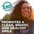 Tom's Of Maine Whole Care Natural Toothpaste With Fluoride, Wintermint, 4 oz. 3-Pack (Packaging May Vary)