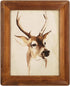 icheesday 8.5x11 Wood Picture Frames,Rustic Brown Diploma Certificate Award Photo Frame