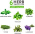 6 Herb Seeds Variety Pack – Plant an Indoor or Outdoor Herb Garden: Basil, Lavender, Cilantro, Parsley, Thyme and Oregano Seeds – 3200+ Non-GMO Heirloom Herb Seeds – Bonus Markers and Grow Guide