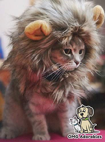 Lion Mane Costume for Cat (Cat) - Halloween Special