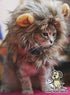 Lion Mane Costume for Cat (Cat) - Halloween Special