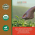 Certified Organic Vadik Herbs Jatamansi Spikenard Root (Nardostachys jatamansi) Powder | Helps to Maintain Healthy Nervous System and Optimal Brain Functions (100 Vegicaps)
