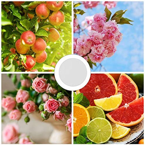 Maitys Replacement Steam Mop Scent Discs Fragrance Scented Pads 8 Different Fragrance Discs Compatible with Bissell Powerfresh and Symphony Series Fits Model 1940, 1806 and 1132 (24)