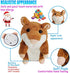 Tockrop Talking Hamster Mouse Plush Interactive Toy Repeat What You Say Mimicry Pet Talking Record for Early Learning