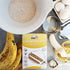 Puppy Cake Banana Cake Mix and Frosting for Dogs
