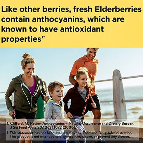 Nature Made Elderberry 400 mg Extract with Vitamin C and Zinc, Dietary Supplement for Immune Support, 60 Capsules, 60 Day Supply
