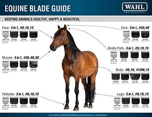 WAHL Professional Animal #10W Extra Wide Ultimate Competition Series Detachable Blade with 1/16-Inch Cut Length (#2377-500),Black