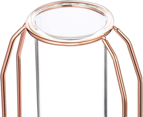 NUPTIO Vases Set of 2 Glass Vases with Metal Frame 23.5cm Height, Modern Rose Gold Frame Cylinder Clear Vase Planter Terrariums, Flower Holder Decorations for Wedding Living Room, Office, Party