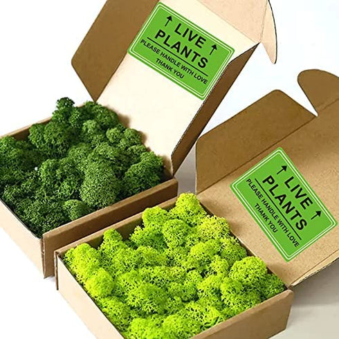 Green Live Plants Stickers for Shipping 2x3 inch Please Handle with Love Stickers Fragile Shipping Labels for Warehouse Pallet 250 pcs Live Plants Stickers per roll