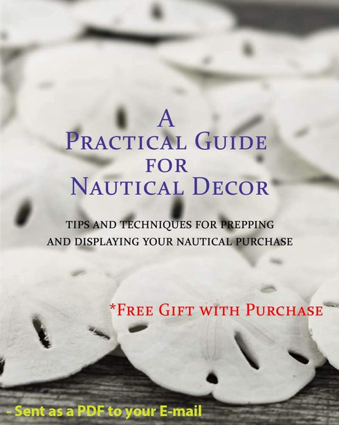 Hermit Crab Shells | Turbo Shells | Jade Green Banded Turbo Shell 4"-4.5" | Hermit Crab House for Décor | Plus Free Nautical eBook by Joseph Rains