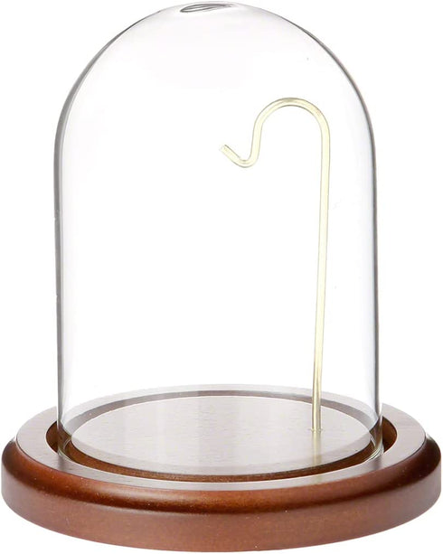 Plymor 3" x 4" Watch/Ornament Glass Display Dome Cloche (Walnut MDF Base & Brass Wire)