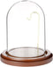 Plymor 3" x 4" Watch/Ornament Glass Display Dome Cloche (Walnut MDF Base & Brass Wire)