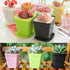 Xilanhhaa 24 Pack 3 inch Black Square Nursery Flower Pots Plastic Plant Pot with Saucer,Seedling Nursery Transplanting Planter Container for Your Room,Garden Office and Balcony Decor