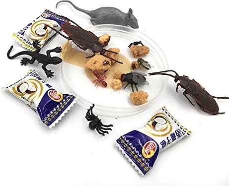 ALIMITOPIA 200pcs Fake Black Ant Realistic Imitation Bug for Halloween Prank Props (Ant,Black)